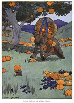 Pug Peter -- a bear gathering fallen oranges Pug Peter -- a bear gathering fallen oranges