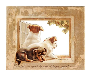 Three puppies in a window on a Christmas card Three puppies in a window on a Christmas card