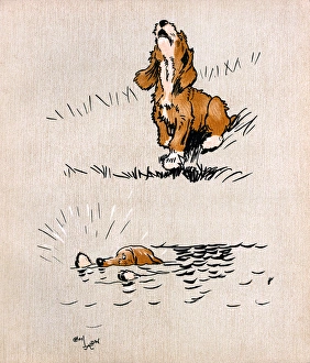 Puppy dog howling as his brother flounders in river Puppy dog howling as his brother flounders in river