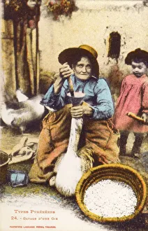 Pyrenean Woman force-feeding a goose Pyrenean Woman force-feeding a goose