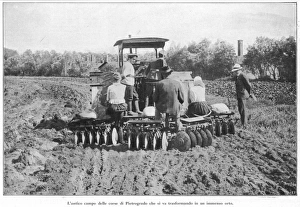 Racecourse Plowed Racecourse Plowed