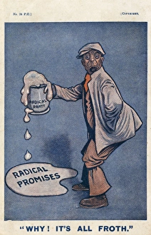 The Radical Party - their promises are seen as all froth The Radical Party - their promises are seen as all froth