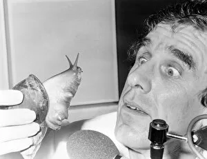 Presenter Collection: Radio presenter with giant snail
