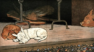 Rags the puppy joins cat and piglet by the fire Rags the puppy joins cat and piglet by the fire