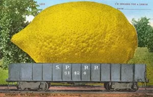 Oversize Gallery: Rail car transporting a giant lemon