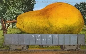 Oversize Gallery: Rail car transporting a giant pear
