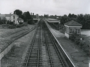 East Sussex Gallery: 