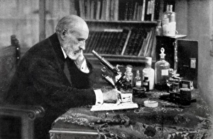 RAMON Y CAJAL, Santiago (1852-1934). Spanish