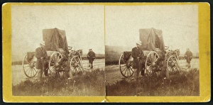 A rare specimen found on hill above Fort Riley, Kansas, 420 A rare specimen found on hill above Fort Riley, Kansas, 420