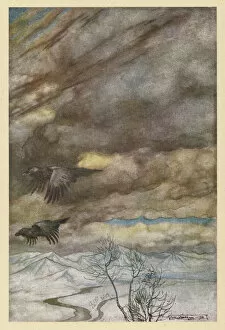 Images Dated 22nd February 2010: The Ravens of Wotan