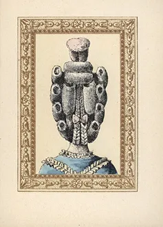 Rear view of a woman's chignon with two pigtails Rear view of a woman's chignon with two pigtails