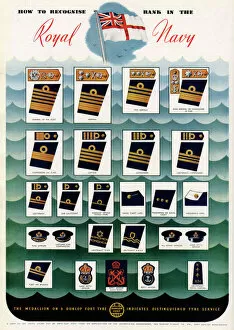 Officers Gallery: How to recognise rank in the Royal Navy