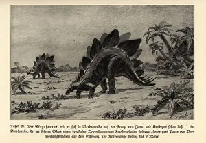 Reconstruction of an extinct Stegosaurus Reconstruction of an extinct Stegosaurus