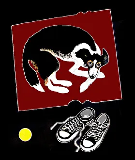 Trainers Gallery: Red Rug and Trainers