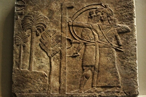Relief depicting a siege of a city. Nimrud Relief depicting a siege of a city. Nimrud