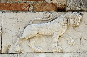 Albania Gallery: Relief with a lion. Mesopotam. Albania