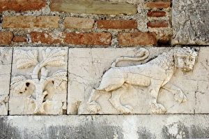 Relief with a lion and tree. Mesopotam. Albania Relief with a lion and tree. Mesopotam. Albania