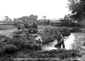 Removing Flax from the Lint Hole, Co. Antrim Removing Flax from the Lint Hole, Co. Antrim