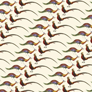 <b class=qtipBold><figcaption>Repeating Pattern - Birds</figcaption></b><br>Repeating Pattern - Birds. *PLEASE NOTE that the magnifying glass is solely to show the detail of the repeating pattern and will not feature on the final file.*<br><em>© Mary Evans Picture Library</em> Repeating Pattern - Birds