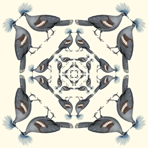 <b class=qtipBold><figcaption>Repeating Pattern - Pigeons</figcaption></b><br>Repeating Pattern - Pigeons.<br><em>© Mary Evans Picture Library</em> Repeating Pattern - Pigeons