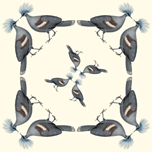 <b class=qtipBold><figcaption>Repeating Pattern - Pigeons</figcaption></b><br>Repeating Pattern - Pigeons.<br><em>© Mary Evans Picture Library</em> Repeating Pattern - Pigeons