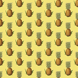 <b class=qtipBold><figcaption>Repeating Pattern - Pineapples</figcaption></b><br>Repeating Pattern - Pineapples. *PLEASE NOTE that the magnifying glass is solely to show the detail of the repeating pattern and will not feature on the final file.*<br><em>© Mary Evans Picture Library</em> Repeating Pattern - Pineapples