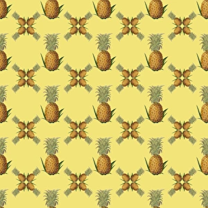 <b class=qtipBold><figcaption>Repeating Pattern - Pineapples</figcaption></b><br>Repeating Pattern - Pineapples. *PLEASE NOTE that the magnifying glass is solely to show the detail of the repeating pattern and will not feature on the final file.*<br><em>© Mary Evans Picture Library</em> Repeating Pattern - Pineapples