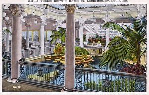 Corinthian Gallery: Reptile House, St Louis Zoo, Missouri, USA