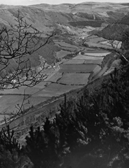 Cardiganshire Gallery: Rheidol Valley