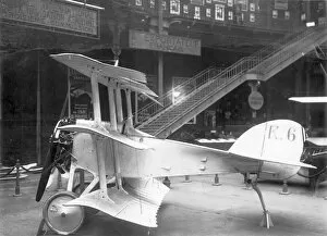 Images Dated 26th January 2014: Ricci R6 Triplane at an exhibition