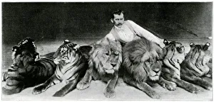 Richard Sawade with lions & tigers at the London Hippodrome Richard Sawade with lions & tigers at the London Hippodrome