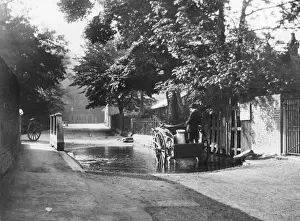 Prints of A sylvan glimpse in one of Rickmansworths pretty lanes, one of the beauty spots of Hertfordshire Hertfordshire Prints: Rickmansworth Print: A 50s Lane Scene in Hertfordshire