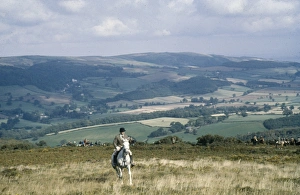 Rider above Luccombe Woods, Exmoor, Somerset Rider above Luccombe Woods, Exmoor, Somerset