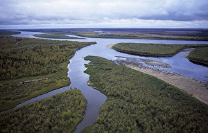 Russia Gallery: River Taz with sand-shelves, old river beds & islands