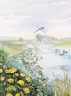 <b class=qtipBold><figcaption>Riverbank scene</figcaption></b><br>A summer riverbank scene with pale calm hazy water, dappled with lilypads and ducks, daisies and a small dragonfly. Watercolour painting by Malcolm Greensmith<br><em>© Mary Evans/Malcolm Greensmith</em> Riverbank scene
