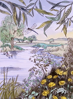<b class=qtipBold><figcaption>Riverside scenery</figcaption></b><br>A view looking down the bend of an English river, with lily pads, a dragonfly, celandines and rushes. Painting by Malcolm Greensmith<br><em>© Mary Evans/Malcolm Greensmith</em> Riverside scenery