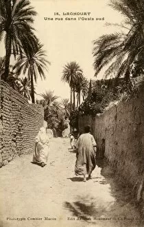 Images Dated 7th December 2015: A road in the south of the Oasis, Laghouat