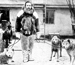 Robert E. Peary and some husky dogs, 1909 Robert E. Peary and some husky dogs, 1909