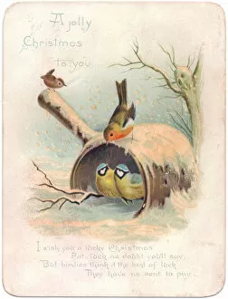 Robin, two blue tits and wren on a Christmas card