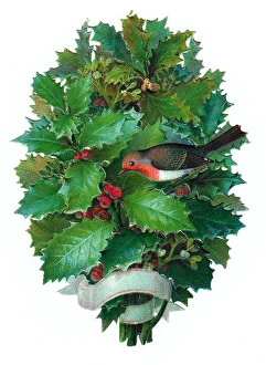 Robin with holly on a Victorian Christmas scrap Robin with holly on a Victorian Christmas scrap