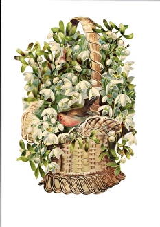 Robin with snowdrops on a Victorian Christmas scrap Robin with snowdrops on a Victorian Christmas scrap