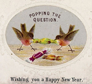 Pull Gallery: Robins and Crackers