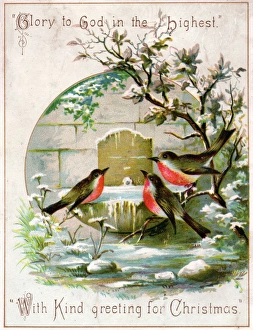 Three robins on frozen birdbath on a Christmas card Three robins on frozen birdbath on a Christmas card