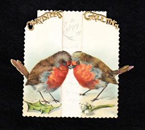 Two robins with holly and mistletoe on a Christmas card Two robins with holly and mistletoe on a Christmas card