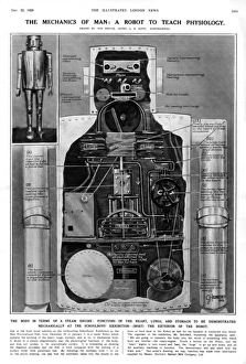 Robotic Gallery: A Robot to Teach Physiology by G. H. Davis