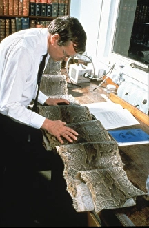 Related Images Gallery: Rock Python skin