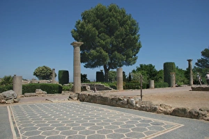 Roman city of Ampurias. Mosaic. Catalonia. Spain Roman city of Ampurias. Mosaic. Catalonia. Spain