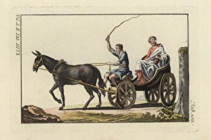 Roman one-horse chariot known as the Rheda Roman one-horse chariot known as the Rheda