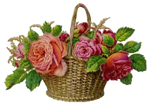 <b class=qtipBold><figcaption>Roses in a Basket</figcaption></b><br>A decorative arrangement of roses in wicker basket.<br><em>© Mary Evans Picture Library</em> Roses in a Basket