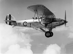 Hawker Audax I K2012 Print